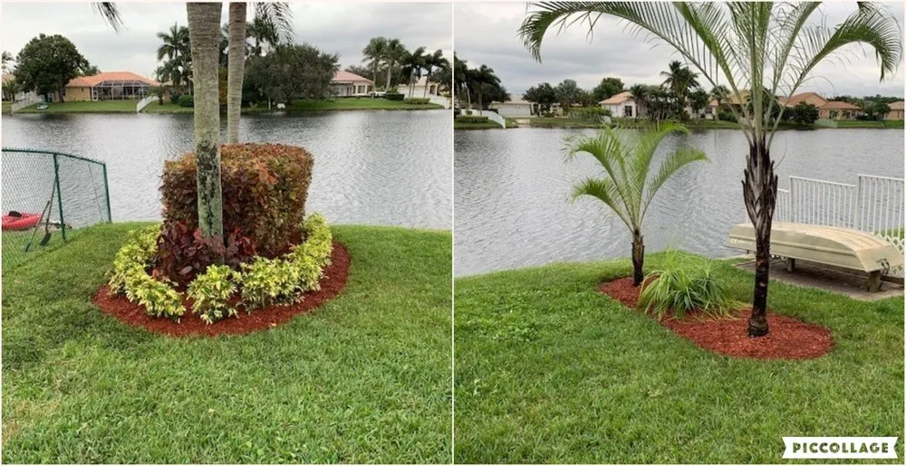 Custom yard cleanup service for outdoor upgrades in Fort Lauderdale, FL by Paradise Look