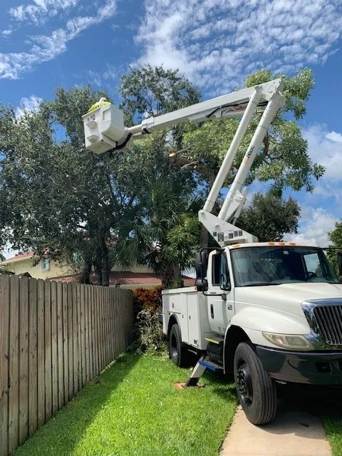 Affordable residential landscaping experts serving Fort Lauderdale, FL - Paradise Look