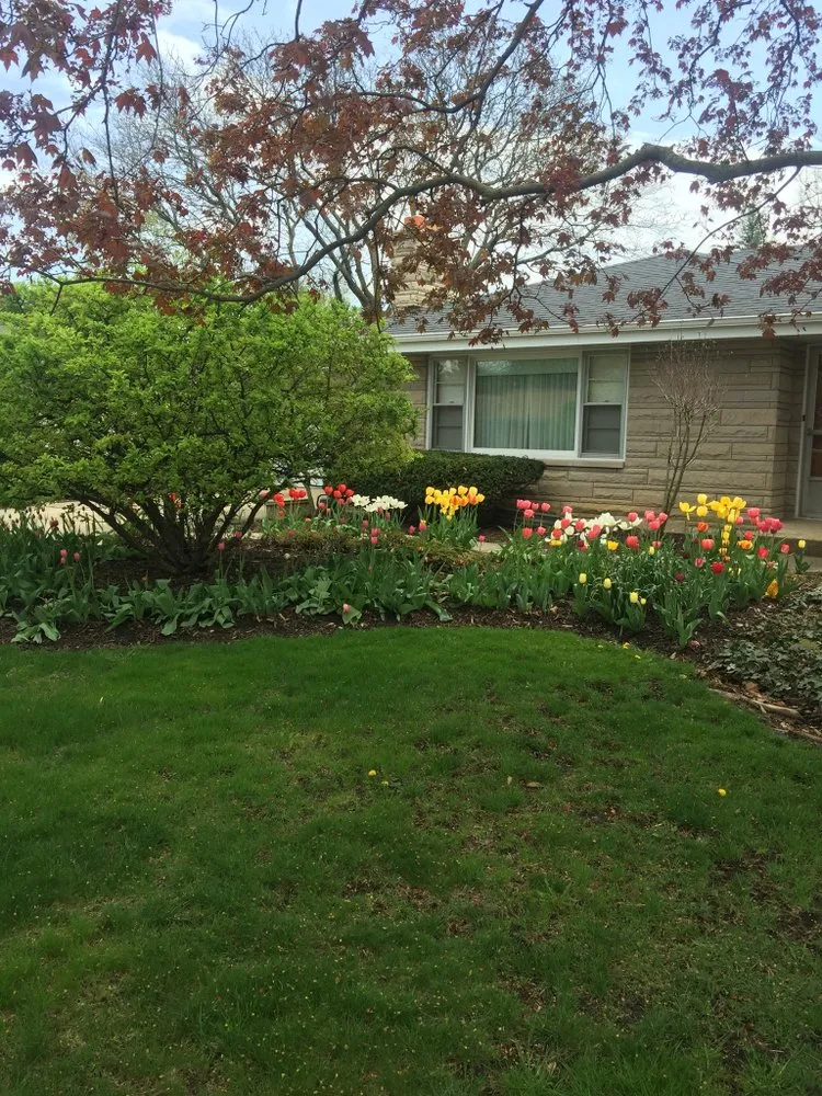 Top-rated residential landscaping in Joliet, IL - Paradise maintenance & landscaping inc