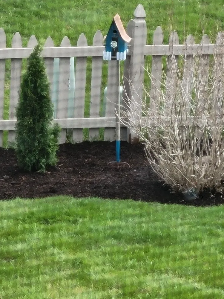 Expert yard cleanup service for outdoor upgrades across Joliet, IL - Paradise maintenance & landscaping inc