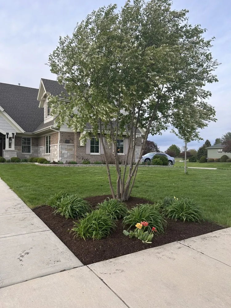 Professional yard maintenance in Joliet, IL - Paradise maintenance & landscaping inc