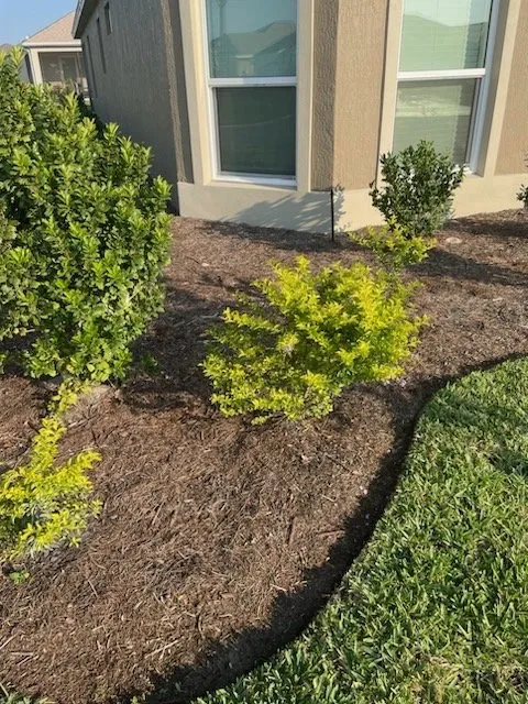 Custom outdoor landscaping experts serving Lady Lake, FL - Paradise Mowing Services