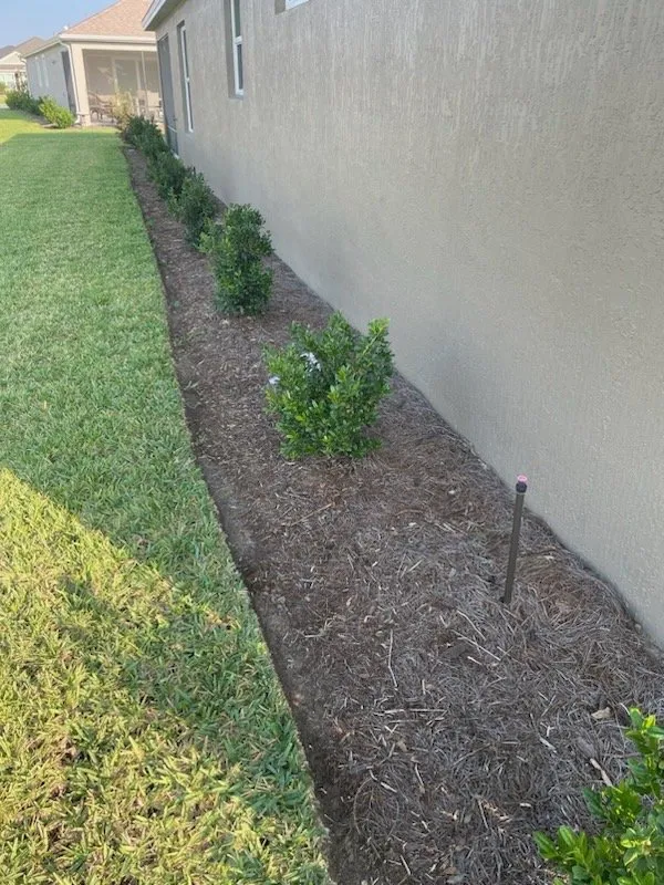 Local lawn care service in Lady Lake, FL by Paradise Mowing Services