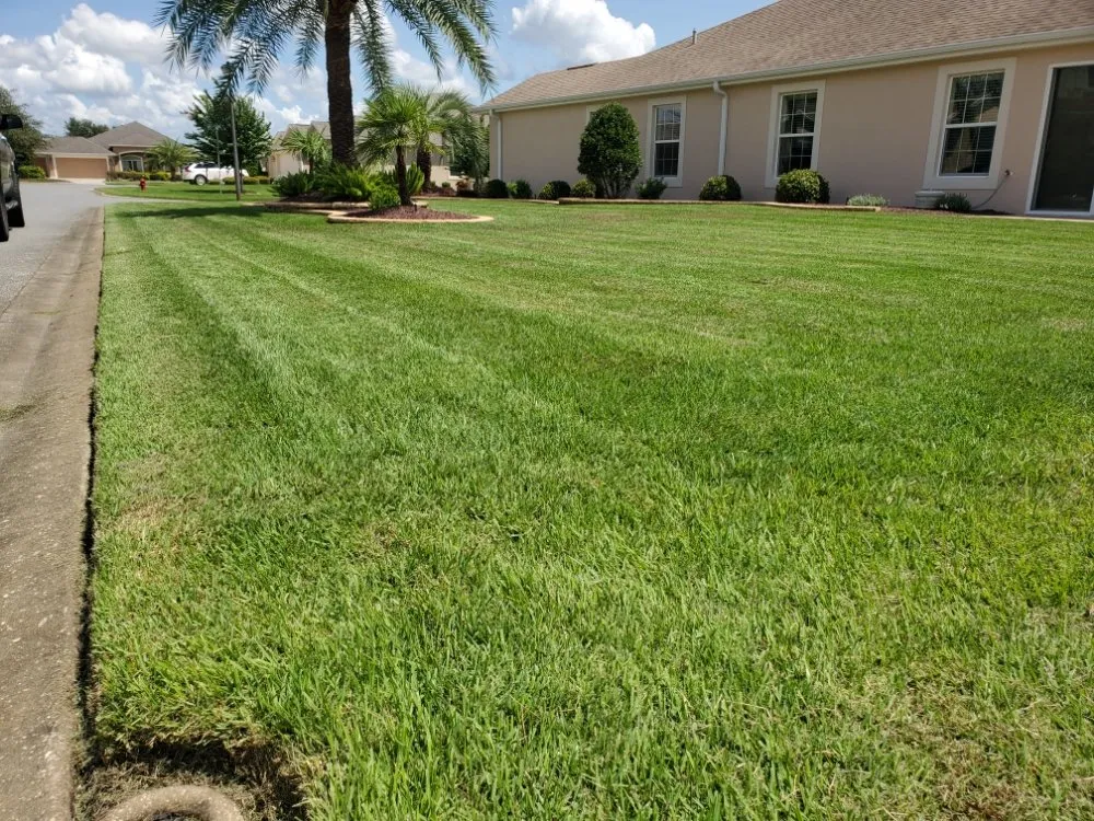 Reliable landscape design experts serving Lady Lake, FL - Paradise Mowing Services