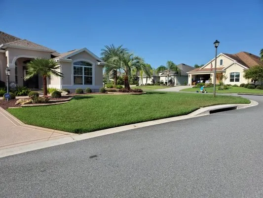 Paradise Mowing Services