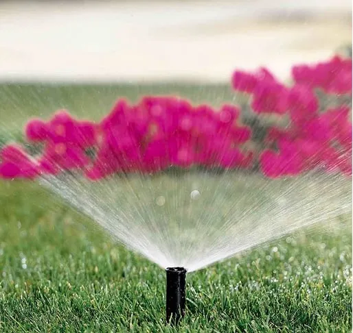 Expert outdoor landscaping in Sunrise, FL by Paradise Pest Control & Fertilization