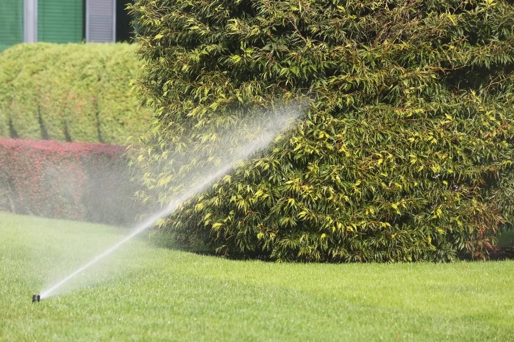 Professional landscaping services in Sunrise, FL - Paradise Pest Control & Fertilization