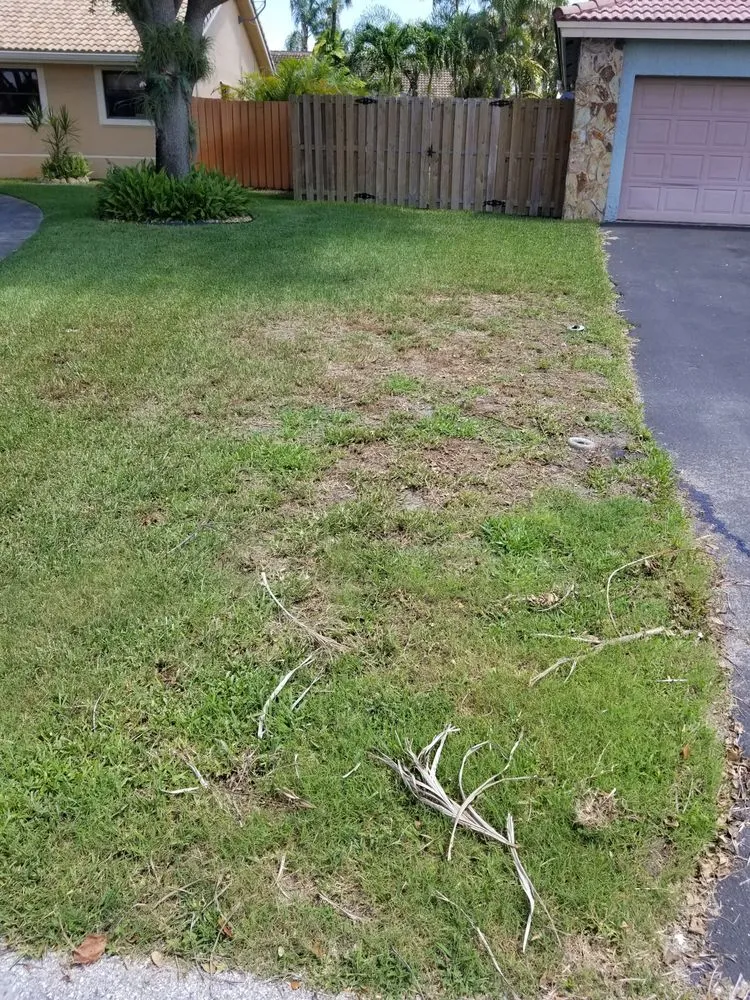 Reliable lawn care service for outdoor upgrades in Sunrise, FL by Paradise Pest Control & Fertilization