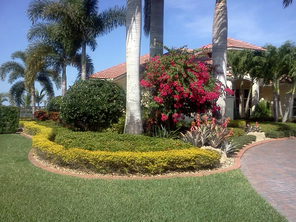Professional yard maintenance for homes across Sunrise, FL - Paradise Pest Control & Fertilization