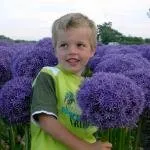 Affordable garden landscaping in Pleasant Prairie, WI by Paradise Pillars