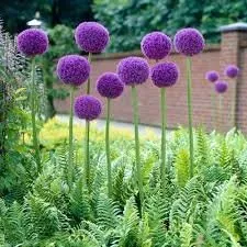 Top-rated landscape installation for year-round maintenance across Pleasant Prairie, WI - Paradise Pillars