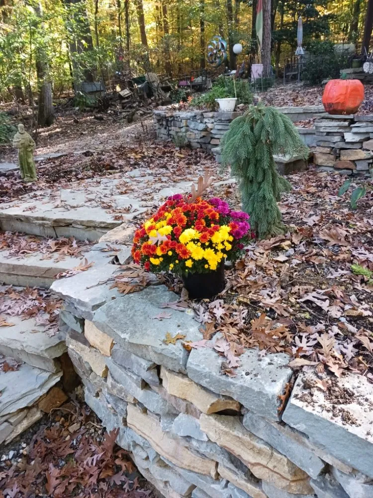 Local lawn mowing service for homes across Lancaster, PA - Paradise Plants & Patios