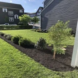 Custom yard maintenance experts serving Lancaster, PA - Paradise Plants & Patios