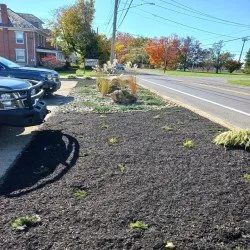 Top-rated lawn mowing service in Lancaster, PA - Paradise Plants & Patios