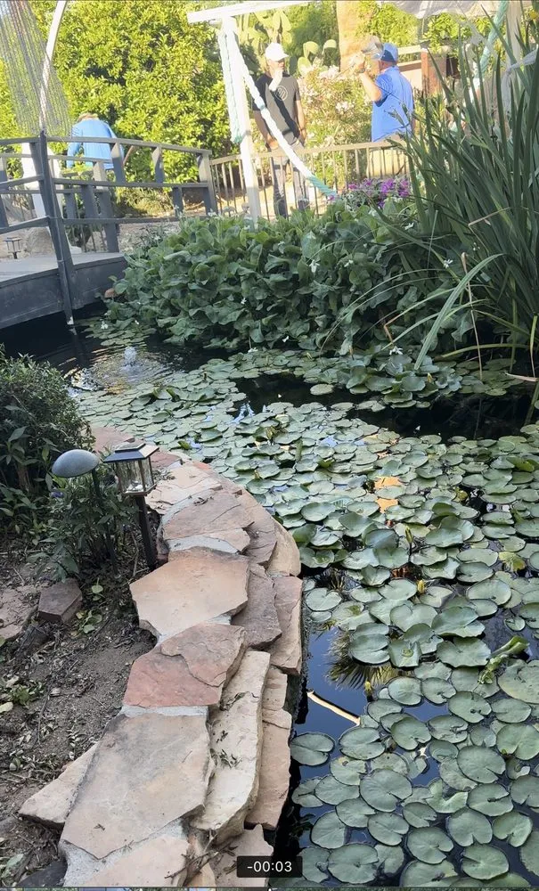 Reliable landscape design in Glendale, AZ - Paradise Ponds & Garden