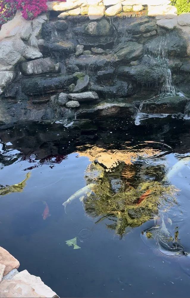 Local lawn mowing service experts serving Glendale, AZ - Paradise Ponds & Garden