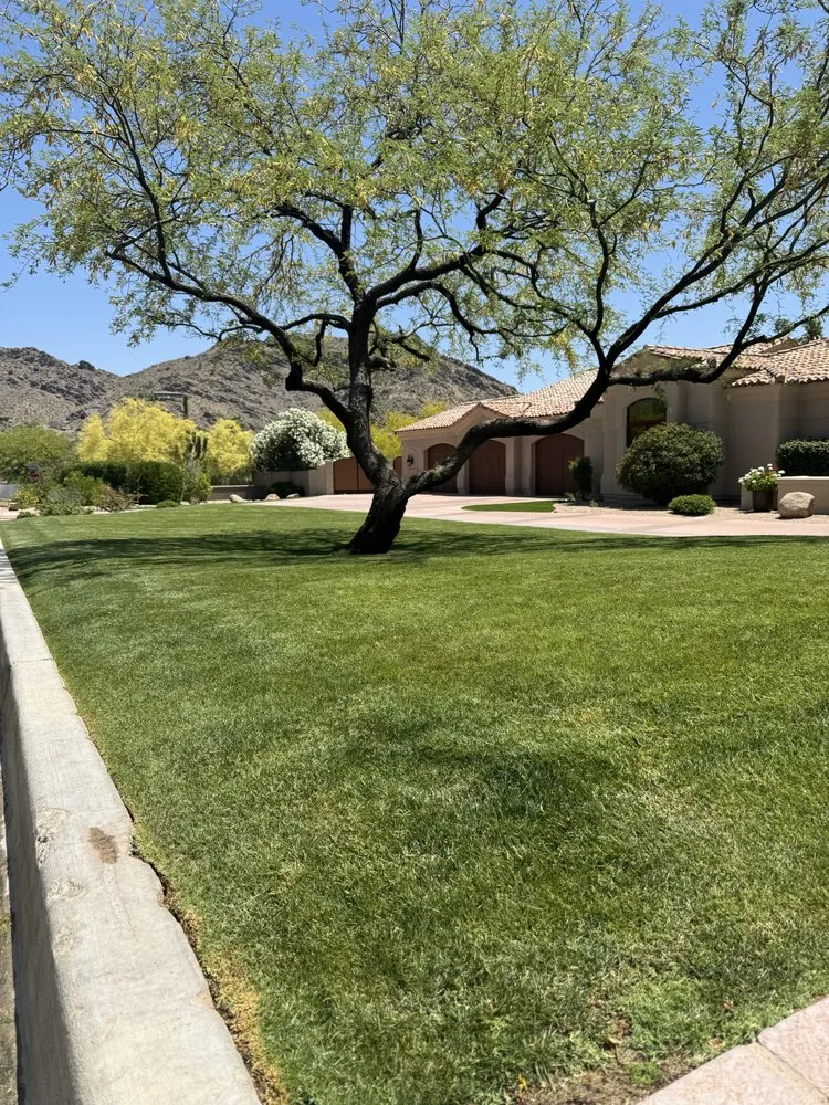 Top-rated lawn mowing service for residential properties across Glendale, AZ - Paradise Ponds & Garden