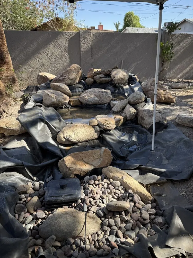 Expert yard cleanup service experts serving Glendale, AZ - Paradise Ponds & Garden