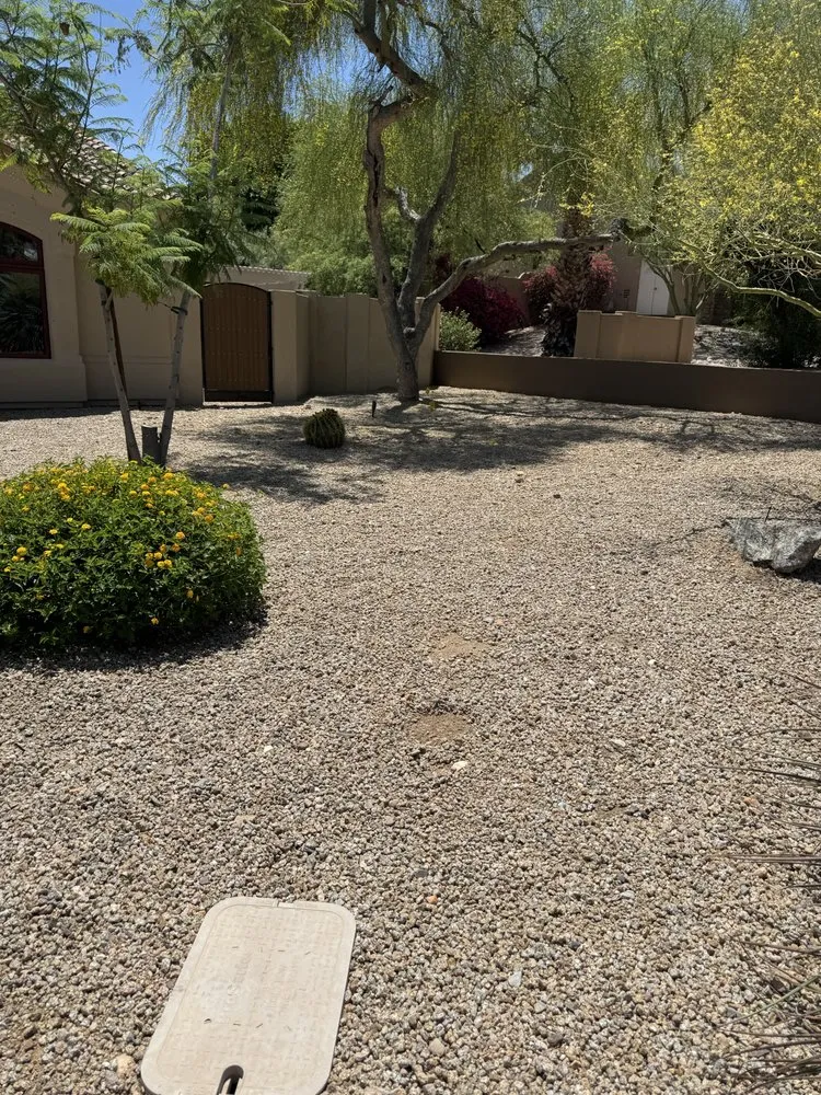 Custom landscaping services in Glendale, AZ - Paradise Ponds & Garden