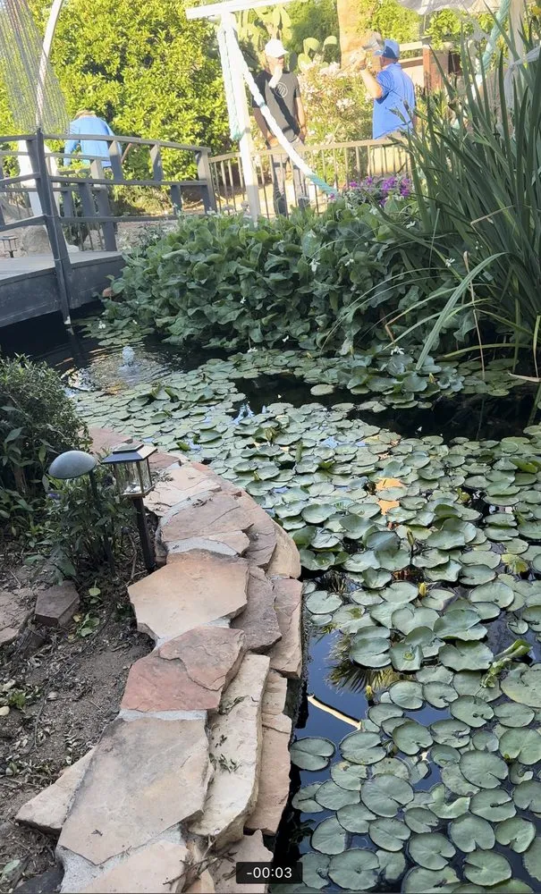 Professional lawn care service in Glendale, AZ - Paradise Ponds & Garden