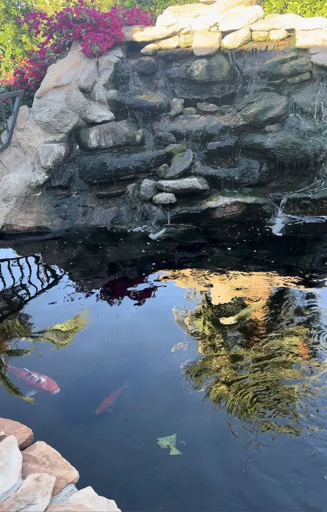 Reliable residential landscaping for residential properties in Glendale, AZ by Paradise Ponds & Garden