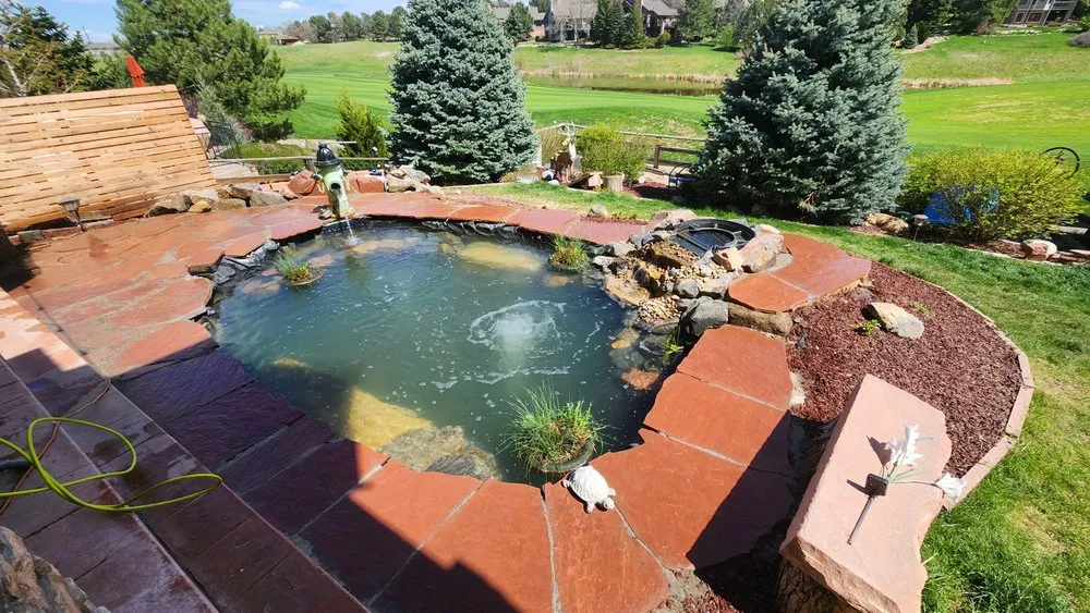 Reliable yard cleanup service for residential properties in Aurora, CO by Paradise Ponds and Aquatics