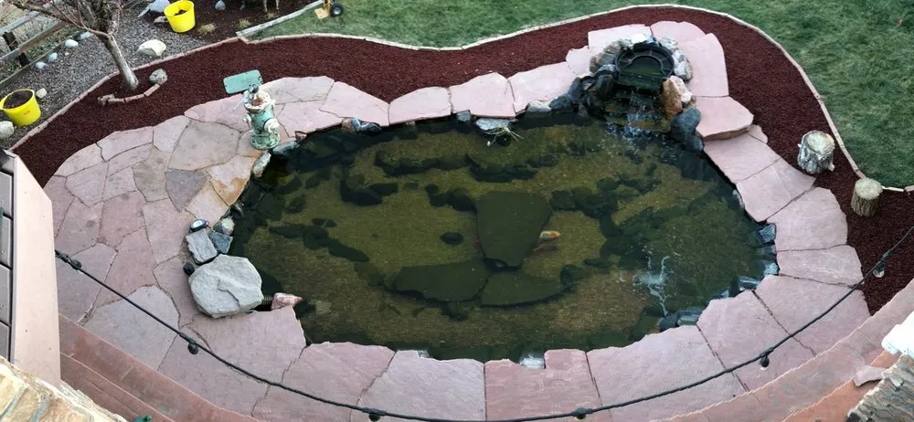 Reliable yard maintenance in Aurora, CO by Paradise Ponds and Aquatics