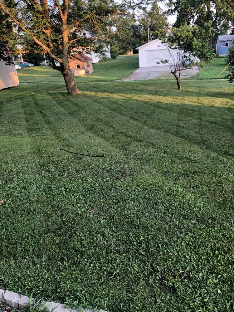 Affordable garden landscaping near you across Springville, IA - Paradise Property Maintenance