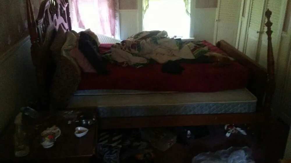 Top-rated yard cleanup service experts serving Levittown, PA - Paradise Property Services