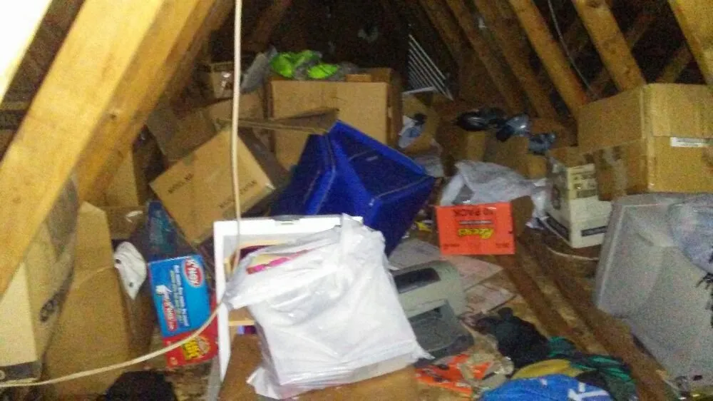 Custom lawn mowing service in Levittown, PA - Paradise Property Services