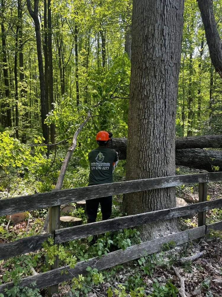 Top-rated yard maintenance for outdoor upgrades across Herndon, VA - Paradise Tree & Landscaping