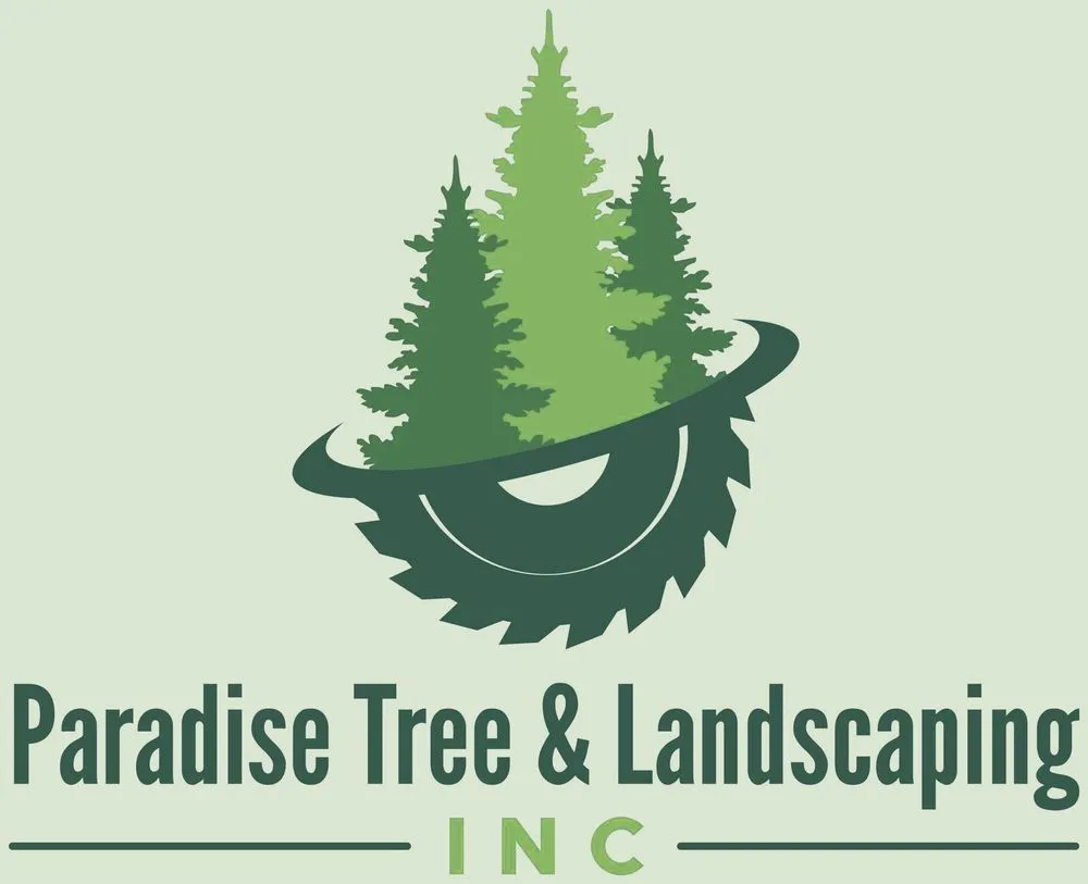 Professional yard cleanup service in Herndon, VA by Paradise Tree & Landscaping