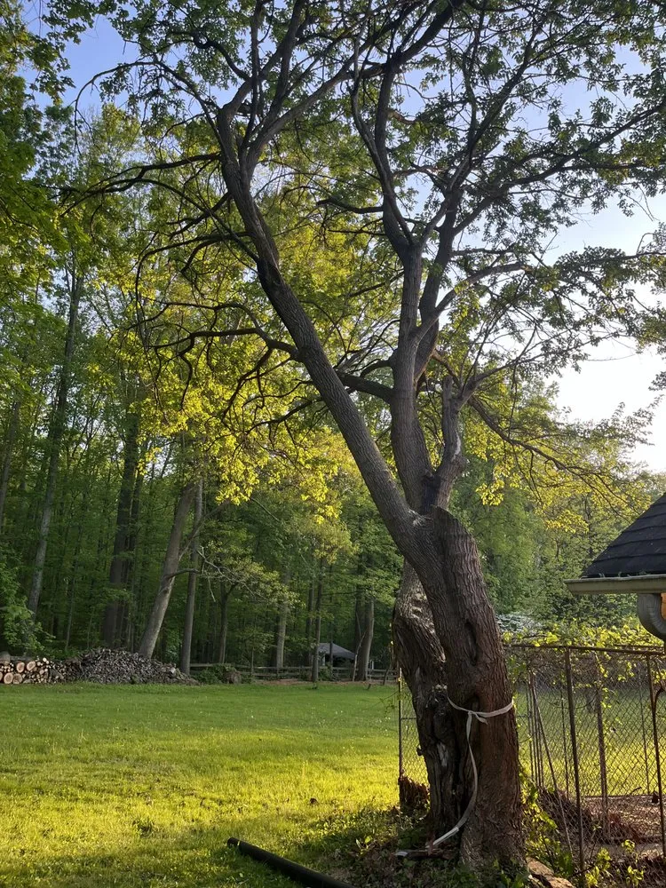 Professional residential landscaping in Herndon, VA - Paradise Tree & Landscaping