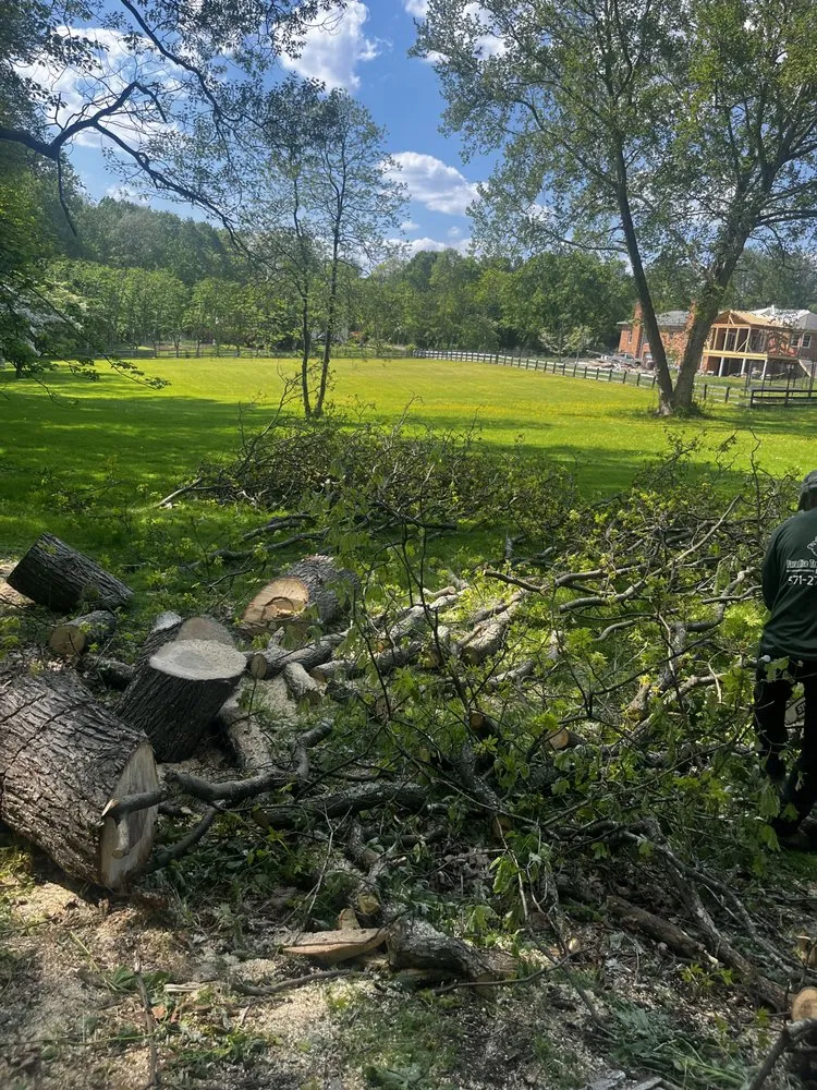 Top-rated residential landscaping for residential properties across Herndon, VA - Paradise Tree & Landscaping