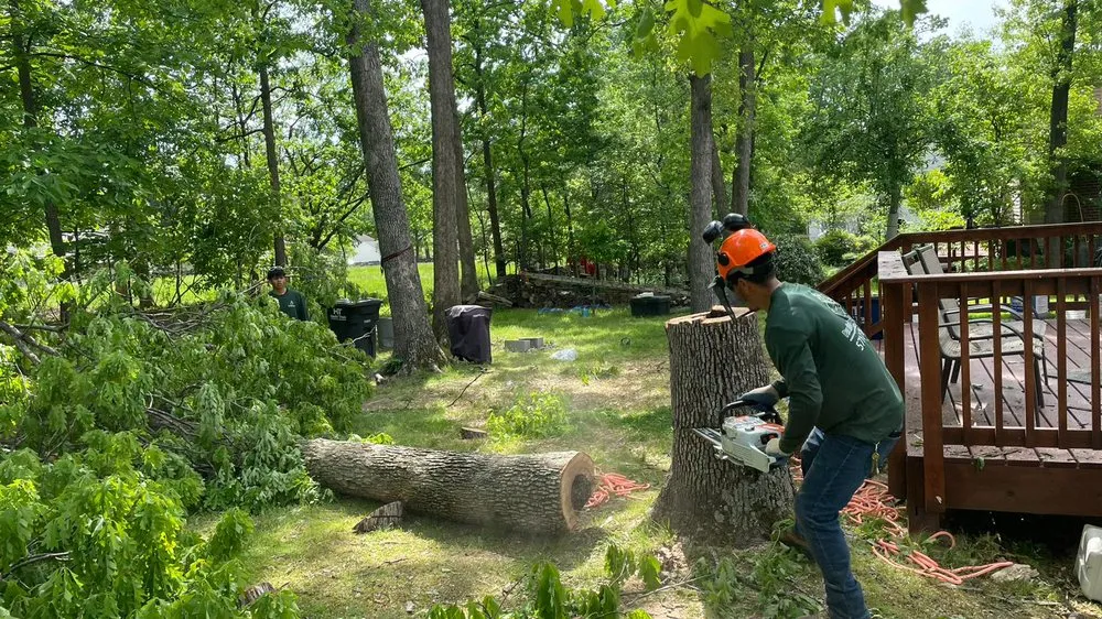 Top-rated landscape design for year-round maintenance in Herndon, VA by Paradise Tree & Landscaping