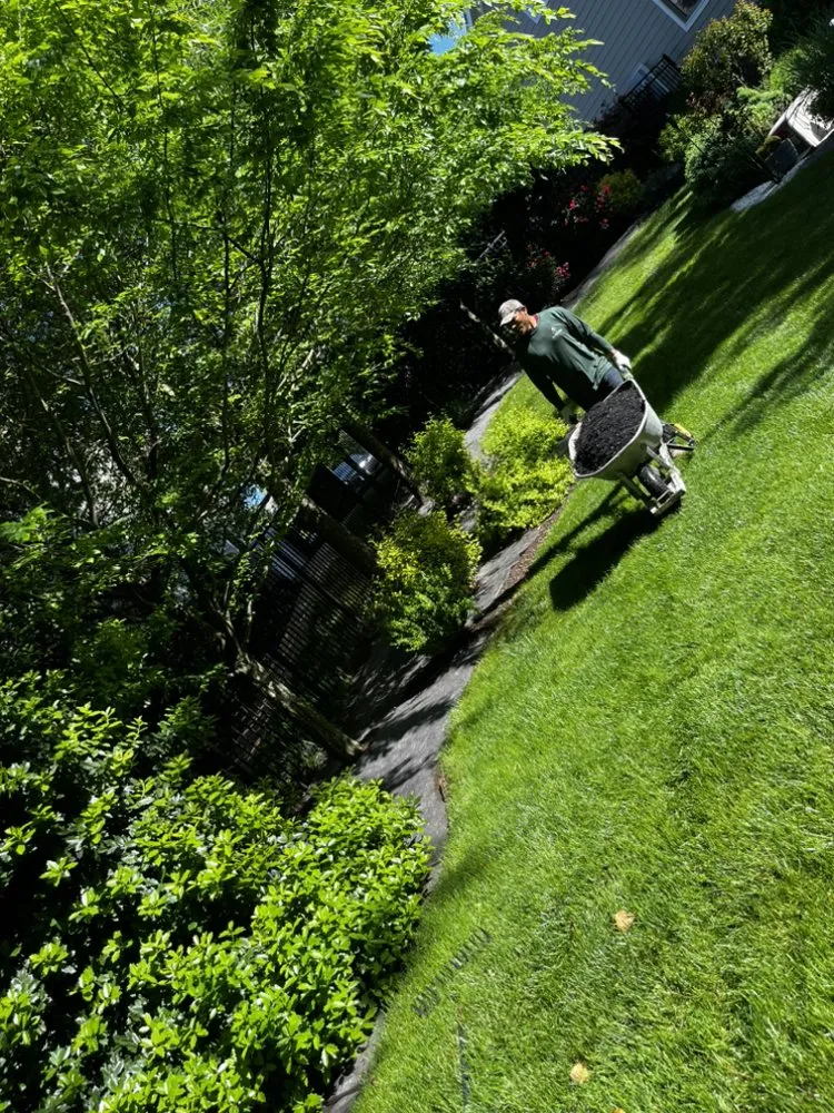 Custom landscaping services for homes across Herndon, VA - Paradise Tree & Landscaping