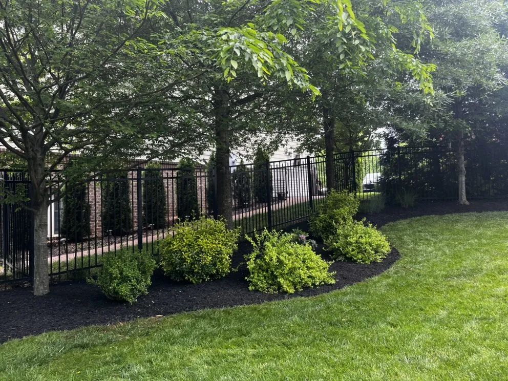 Professional yard cleanup service for homes in Herndon, VA by Paradise Tree & Landscaping