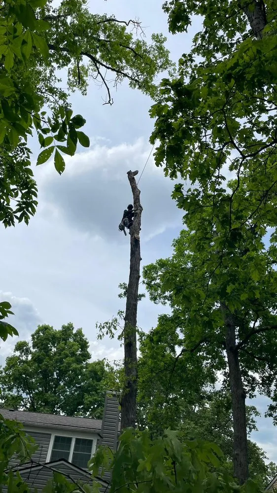 Reliable lawn care service experts serving Herndon, VA - Paradise Tree & Landscaping