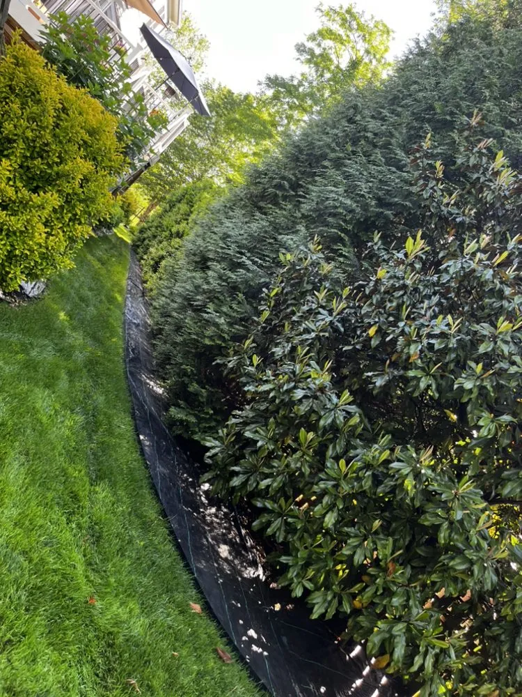 Trusted landscape installation with custom design in Herndon, VA by Paradise Tree & Landscaping