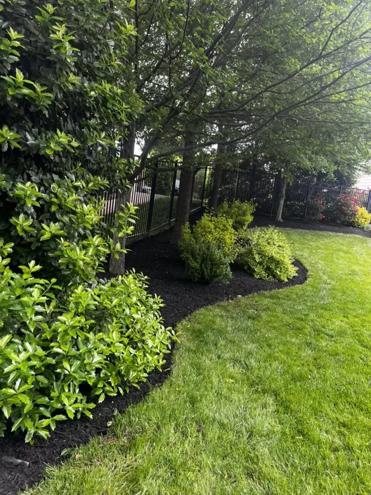 Custom lawn care service experts serving Herndon, VA - Paradise Tree & Landscaping