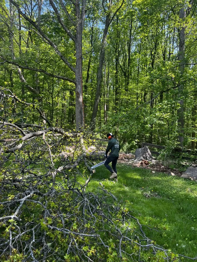 Custom lawn care service for year-round maintenance across Herndon, VA - Paradise Tree & Landscaping