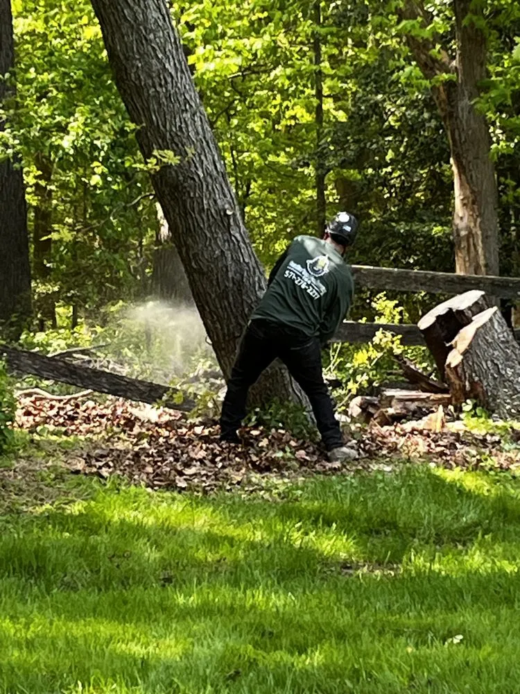 Custom yard cleanup service in Herndon, VA - Paradise Tree & Landscaping