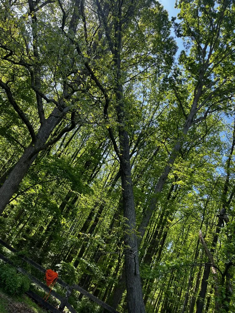 Custom outdoor landscaping experts serving Herndon, VA - Paradise Tree & Landscaping