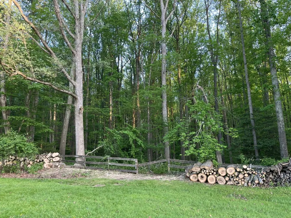 Top-rated outdoor landscaping experts serving Herndon, VA - Paradise Tree & Landscaping