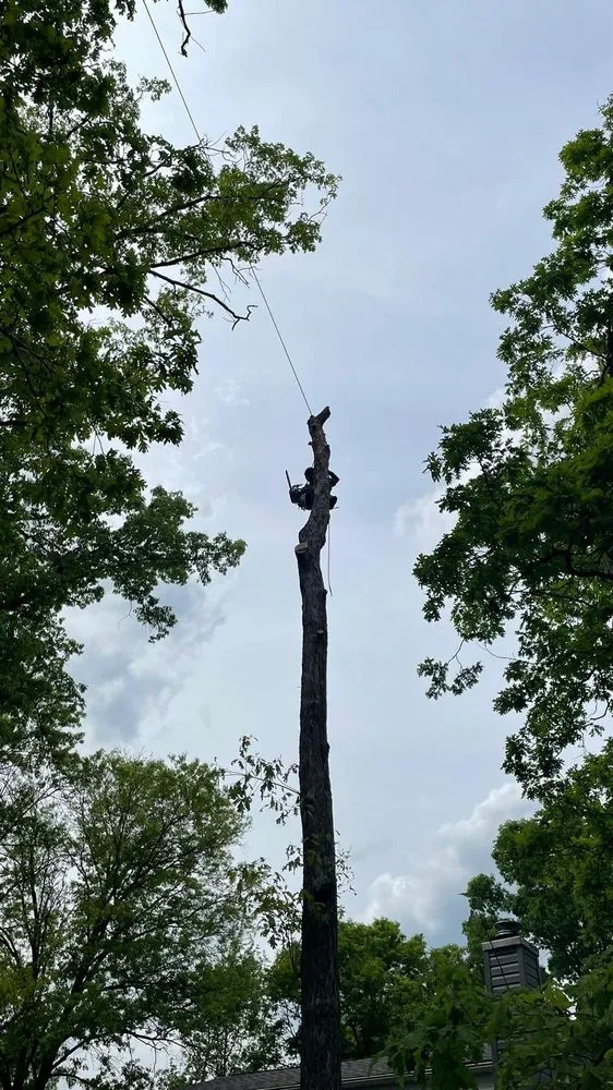 Reliable yard cleanup service in Herndon, VA - Paradise Tree & Landscaping