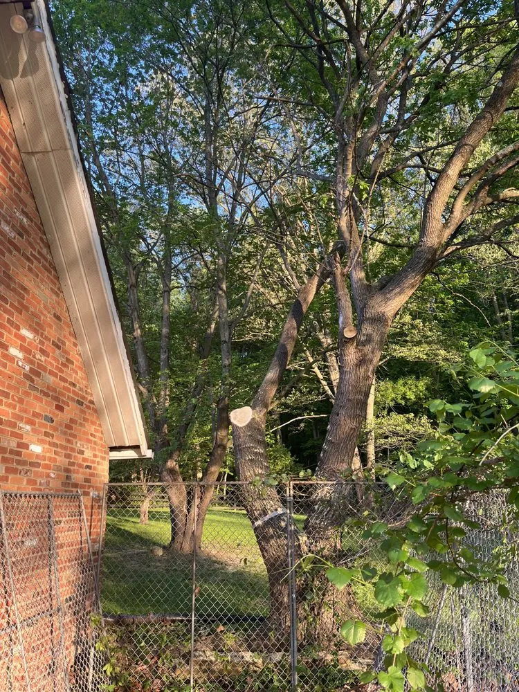 Top-rated yard maintenance in Herndon, VA by Paradise Tree & Landscaping