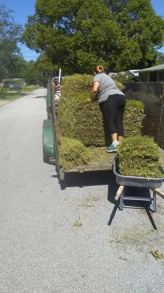 Expert garden landscaping experts serving Ormond Beach, FL - Paradise Tree and Landscaping