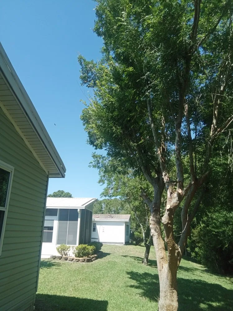 Expert garden landscaping for year-round maintenance across Ormond Beach, FL - Paradise Tree and Landscaping