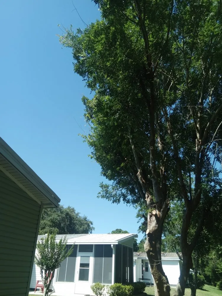 Expert landscape design for residential properties in Ormond Beach, FL by Paradise Tree and Landscaping