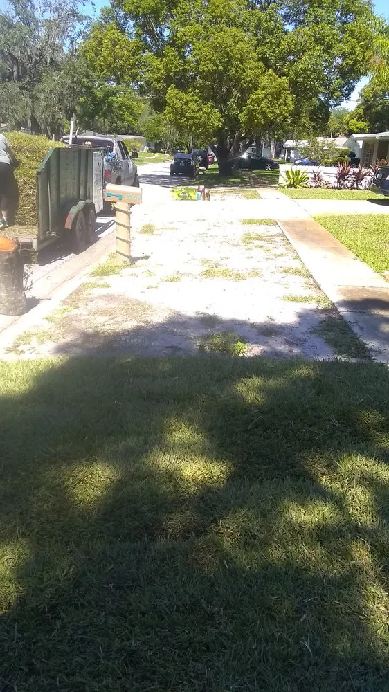 Top-rated residential landscaping experts serving Ormond Beach, FL - Paradise Tree and Landscaping